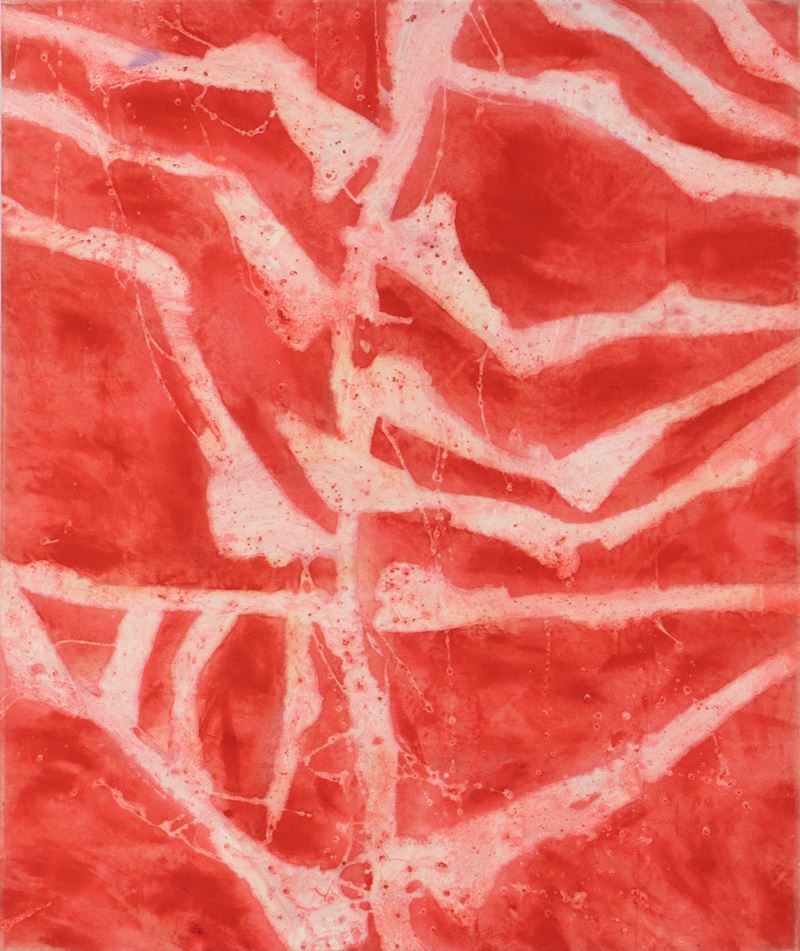 Franca Pisani : L’estate che verrà  (2010)  - canvas e ossidi su tela - Asta 9005 Auction - TRE OFFERTE - Arte Investimenti - investire con arte