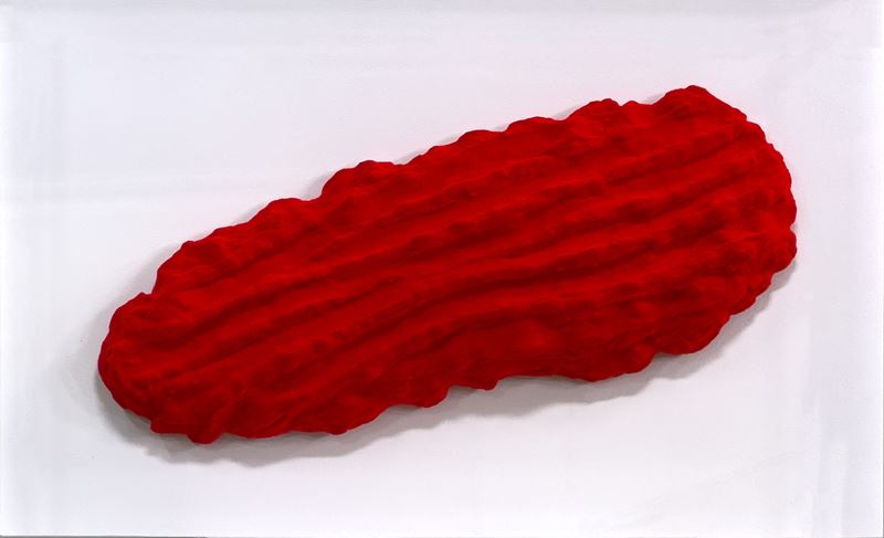 Pino  Pinelli : Scaglia rossa  (2023)  - tecnica mista - Asta 9005 Auction - TRE OFFERTE - Arte Investimenti - investire con arte