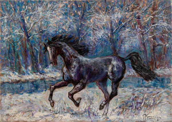 Il mio sire al galoppo sulla neve