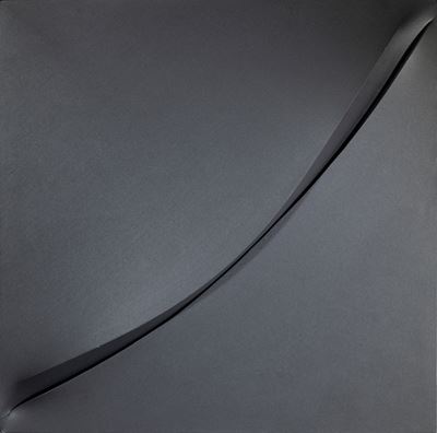 Laele, acrilico su tela estroflessa (2013)