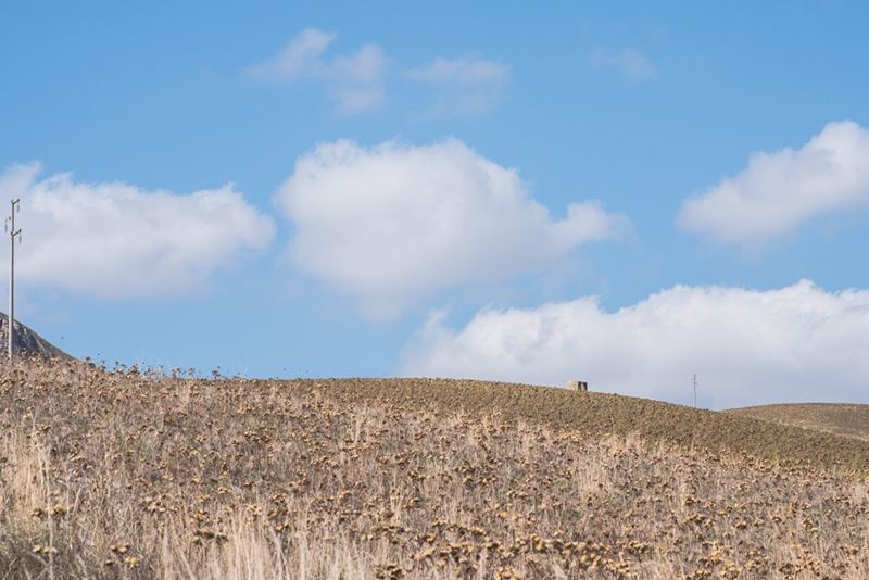 Primo Vanadia : Poteva essere meglio – 2  (2019)  - fotografia - Asta 9005 Auction - TRE OFFERTE - Arte Investimenti - investire con arte